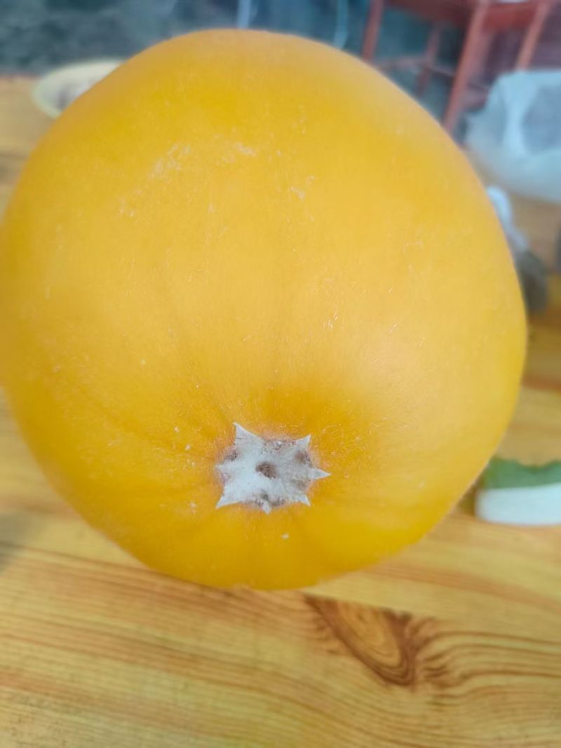 衡水瑞红甜瓜口感好甜度高产地一手货源量大从优