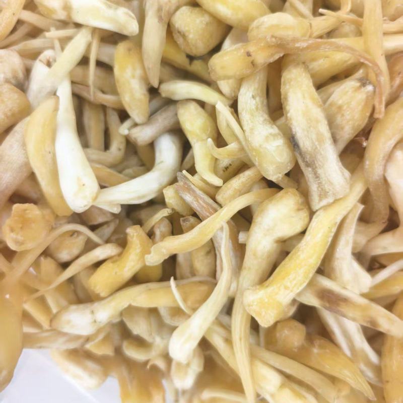 去皮峨参大货现货供应川产优质干参无硫统货选货规格齐全