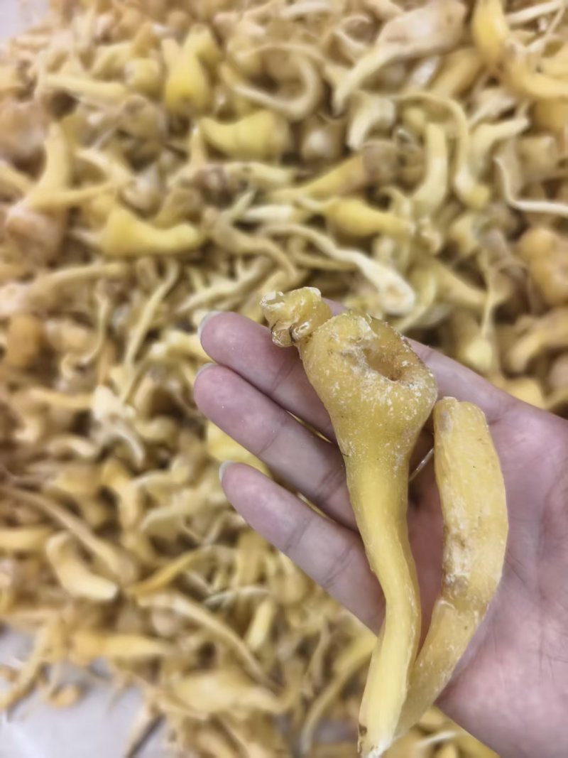 去皮峨参大货现货供应川产优质干参无硫统货选货规格齐全