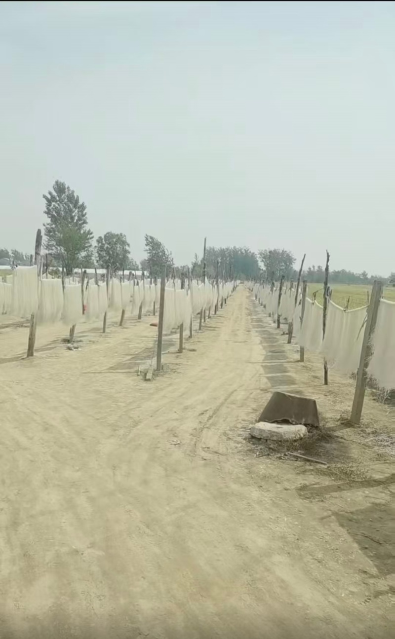 红薯水晶粉丝