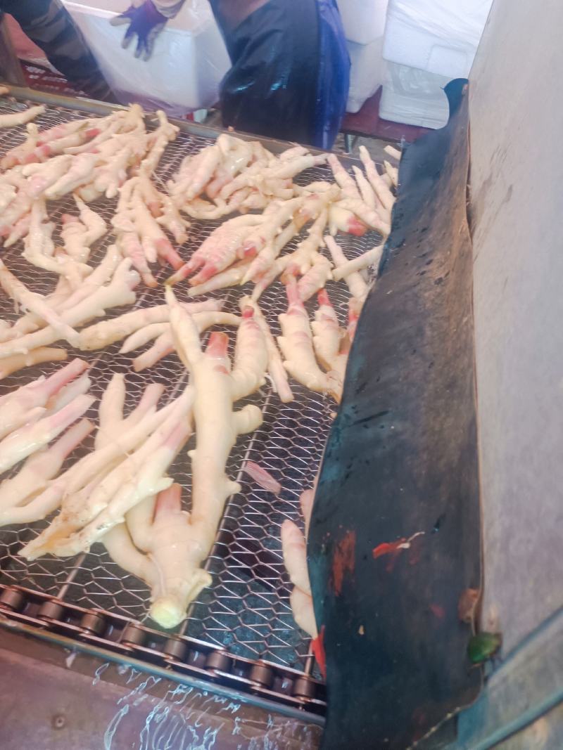 生姜，100万斤等你来拿，联系上我，让老板满意回家