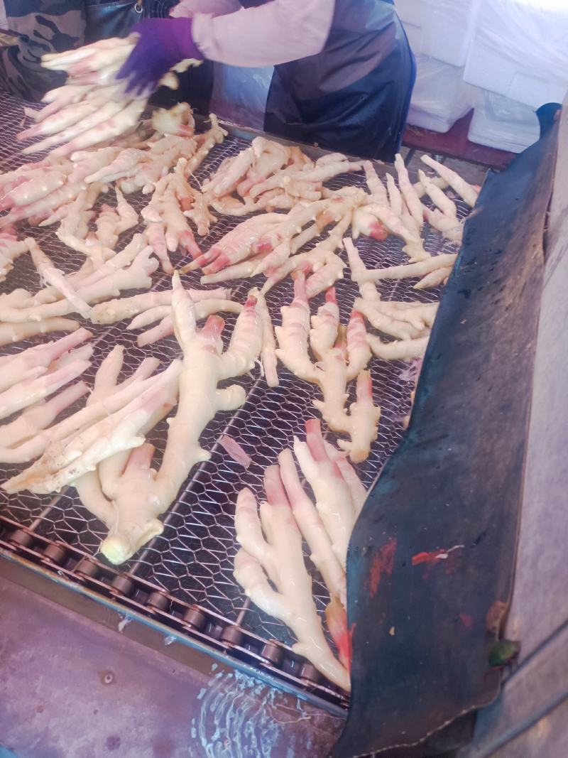 生姜，100万斤等你来拿，联系上我，让老板满意回家