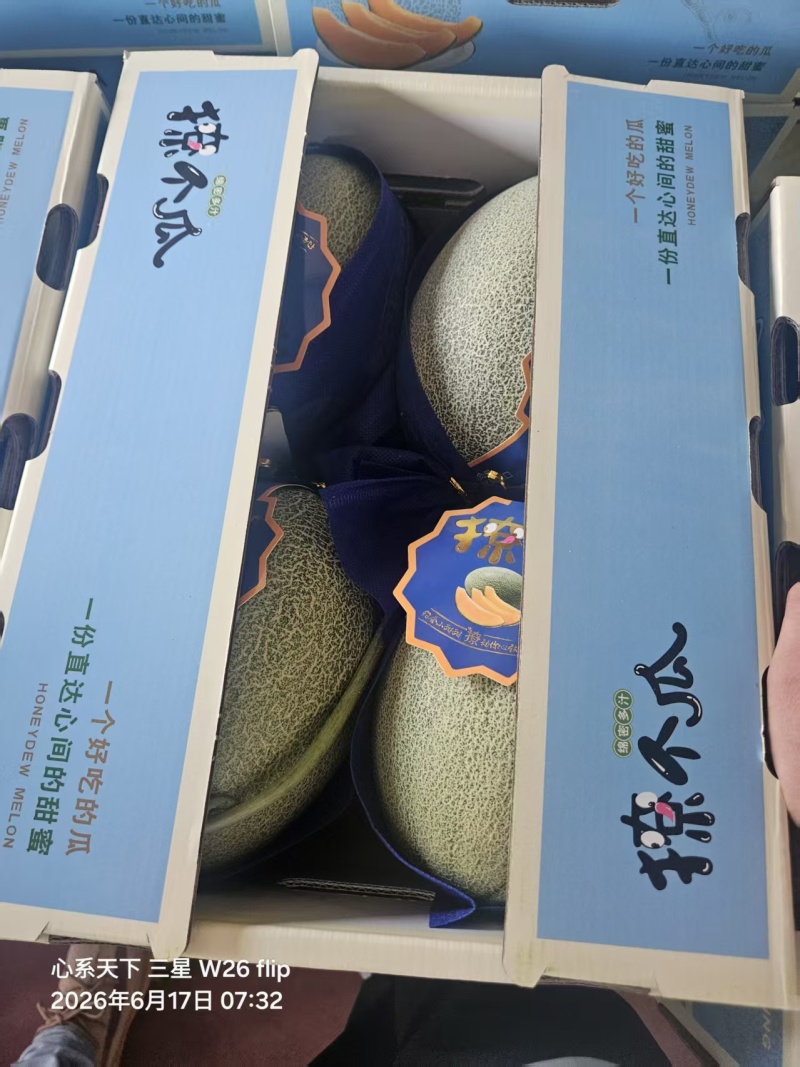 山东西州蜜，产地直销，全国发货，直供商超市场，一件代发