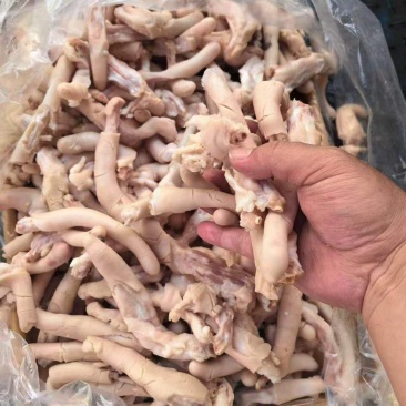 带皮羊尾