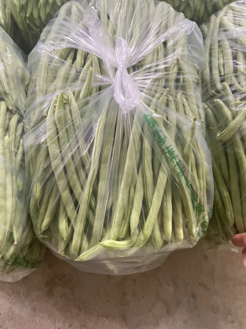 高山四季豆，产地直销，价格便宜，欢迎老板联系