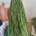 【精选】贡菜干基地直供量大价优对接餐饮火锅保质保