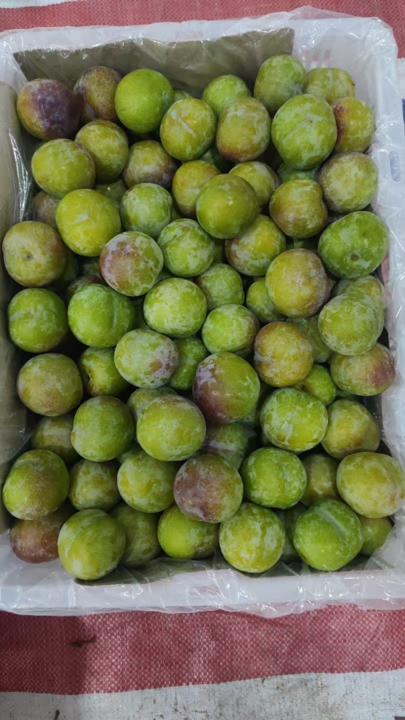 半边红李子，大量上市，产地供应，云南绥江原产地，承接代办