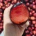 澳洲红红心李口感脆甜多汁欢迎定购
