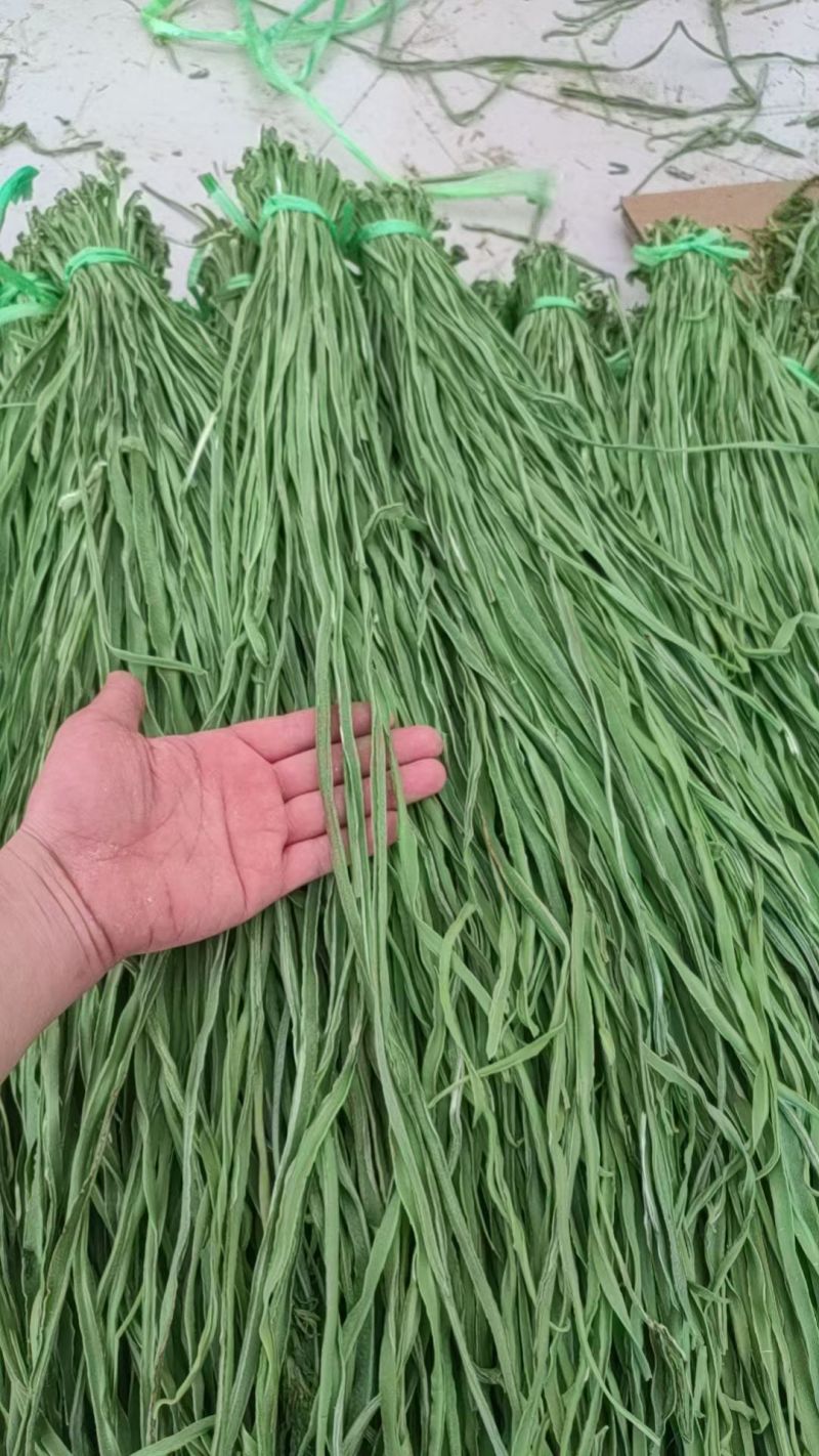 精品贡菜干产地直供一级、二级贡菜干，干度足、无熏硫