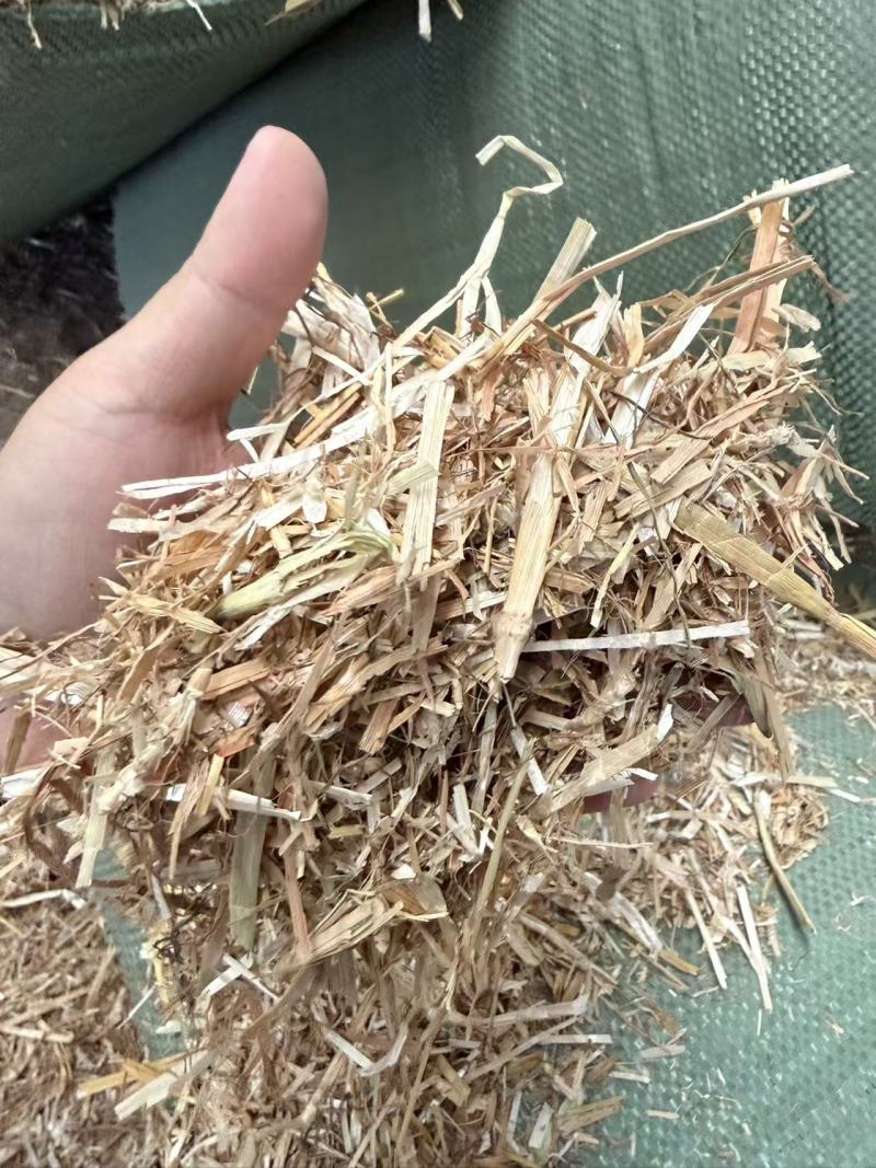 麦草
