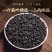 祁门红茶口粮茶蜜香型口感新茶500克包邮