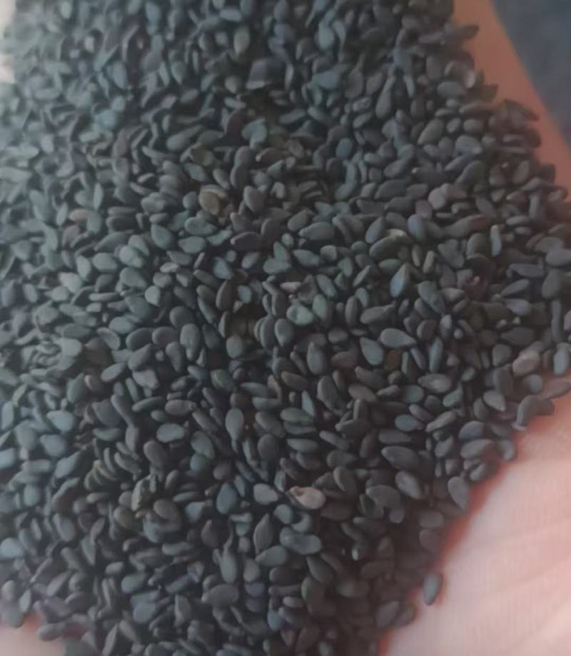 （黑）白芝麻
