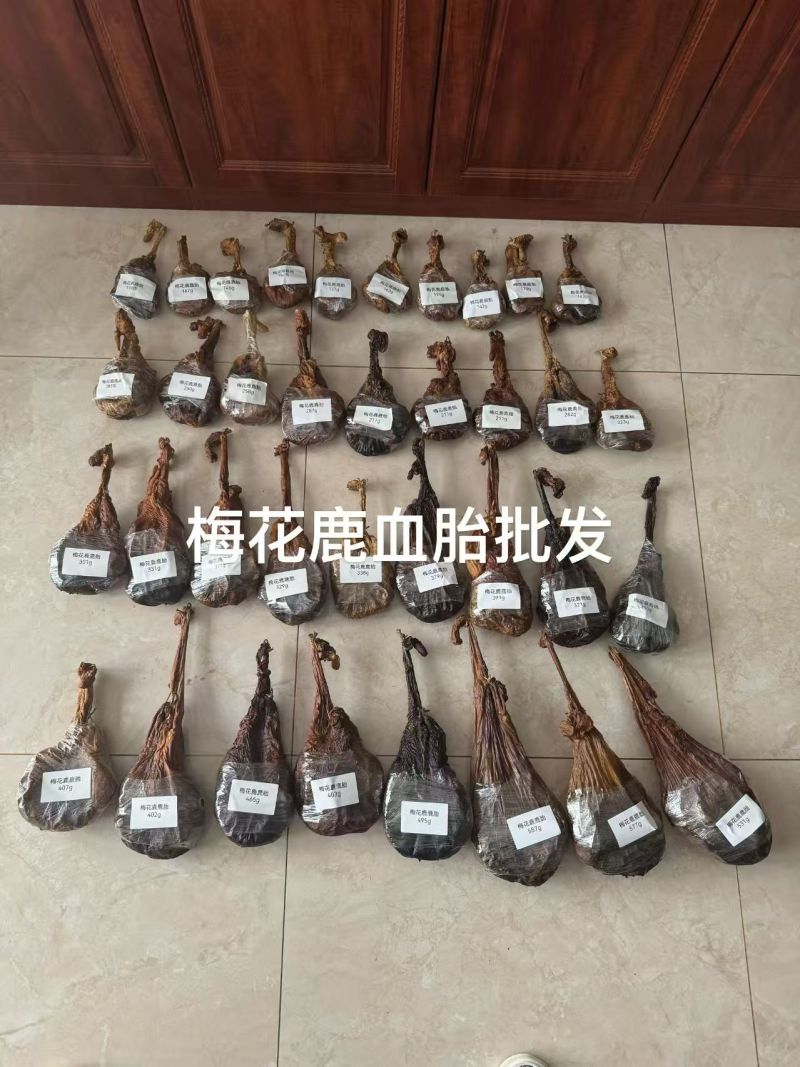 梅花鹿新鲜鹿血胎，活杀