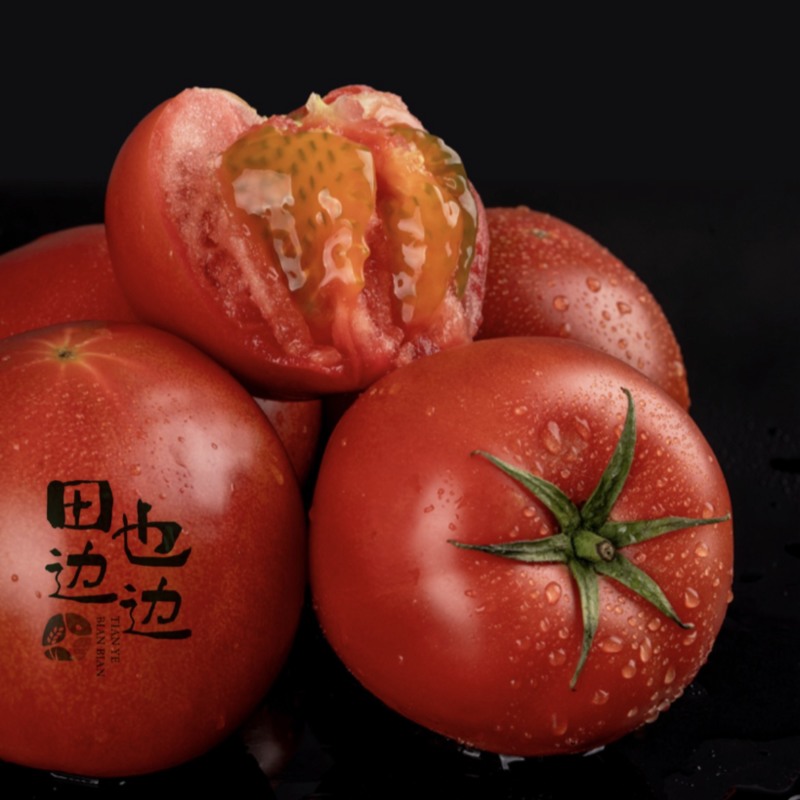 河北冷凉带铁球西红柿现摘现发
