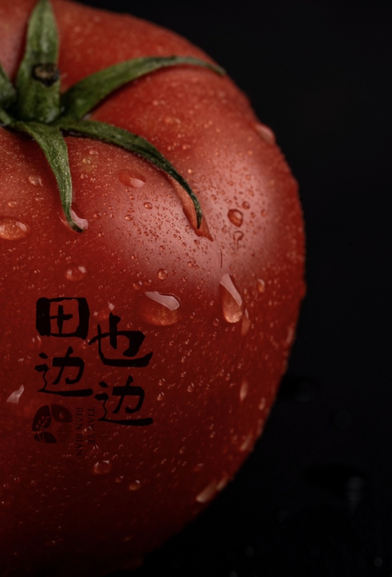 河北冷凉带铁球西红柿现摘现发