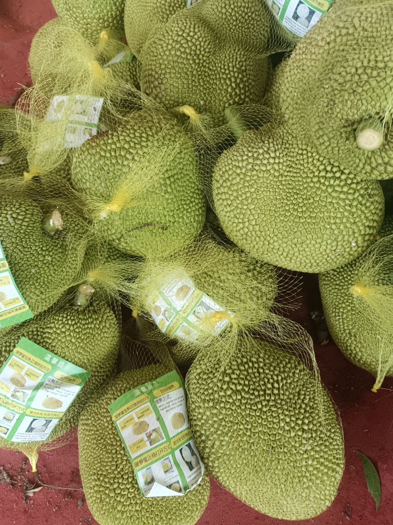 菠萝蜜