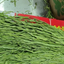 贡菜干条