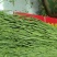 贡菜干条