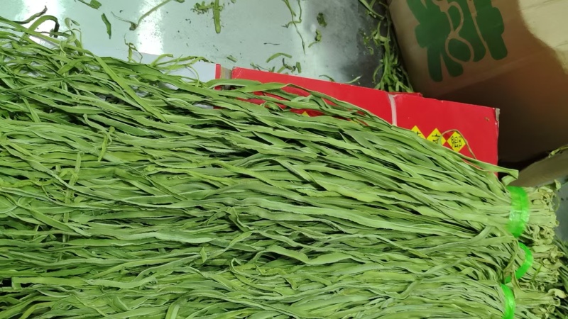 贡菜干条