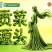 贡菜干条