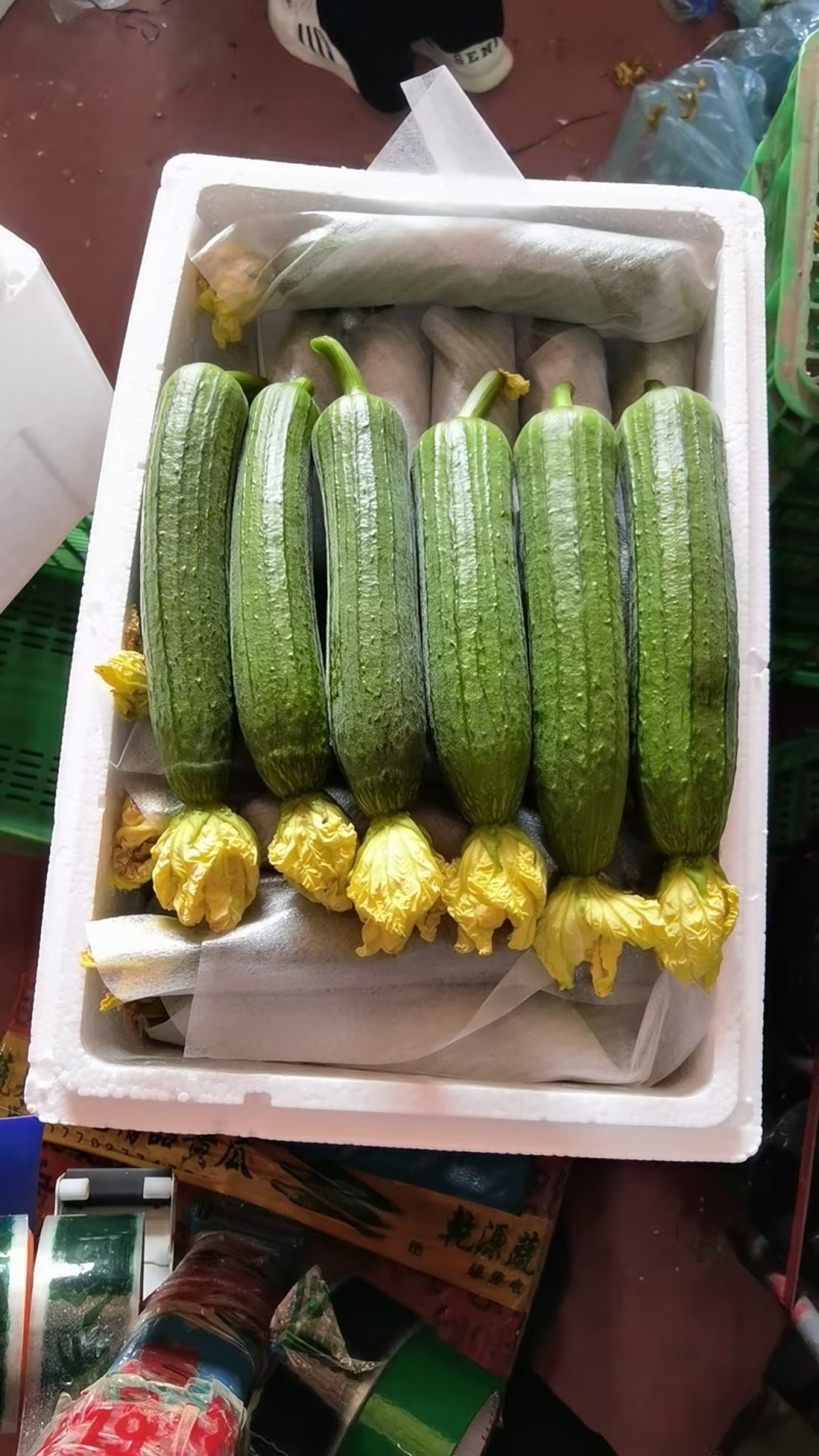 山东特产油皮丝瓜