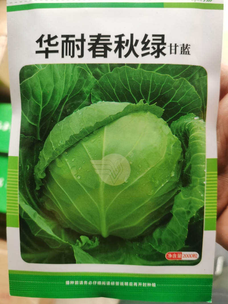 华耐春秋绿春夏秋优质甘蓝种籽君甘一号