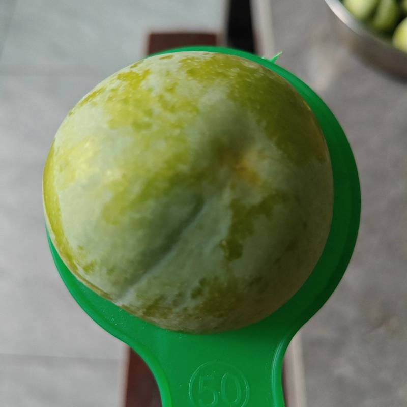 铜仁蜂糖李