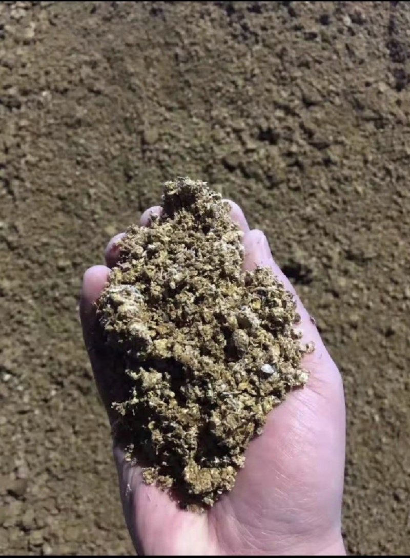 河北蘑菇菌渣价格美丽质量好对接全国量大从优