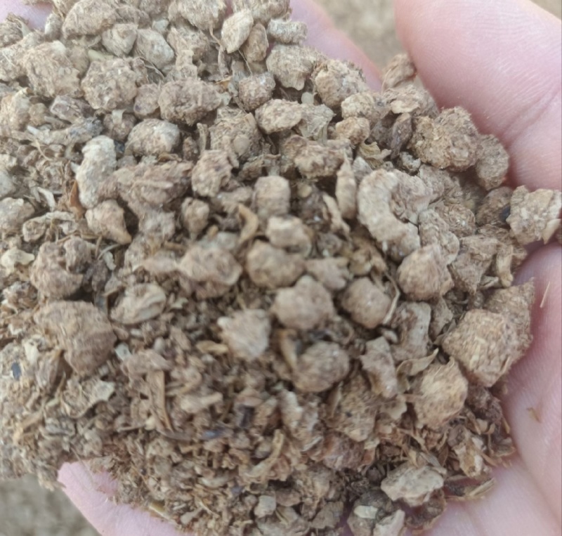 河北蘑菇菌渣价格美丽质量好对接全国量大从优