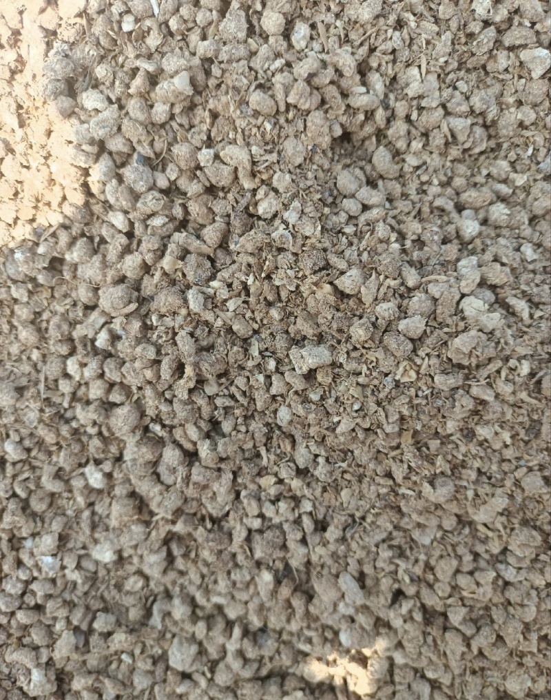河北蘑菇菌渣价格美丽质量好对接全国量大从优