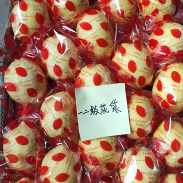 安岳黄柠檬