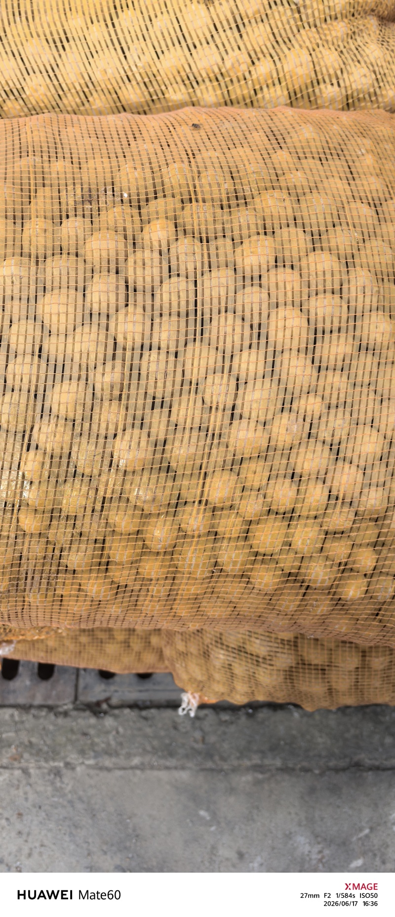 小土豆