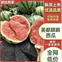 美都西瓜产地直供糖度高耐运输对接各大市场商超平台