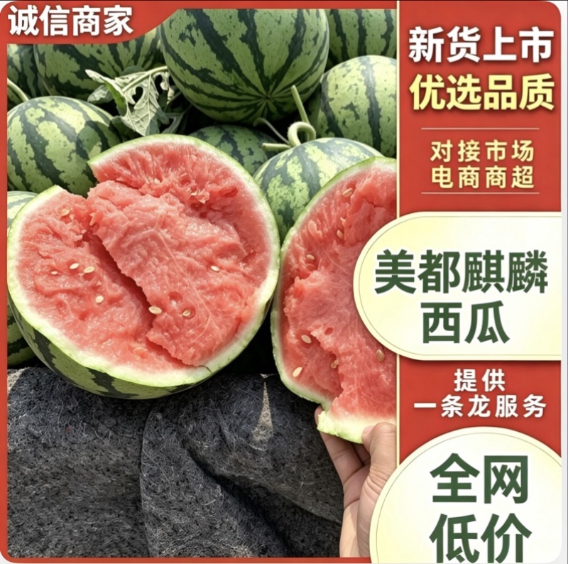 美都西瓜产地直供糖度高耐运输对接各大市场商超平台