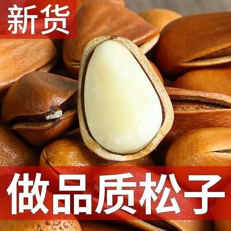 【华山松子】东北松子/东北红松/电商货支持一件代发