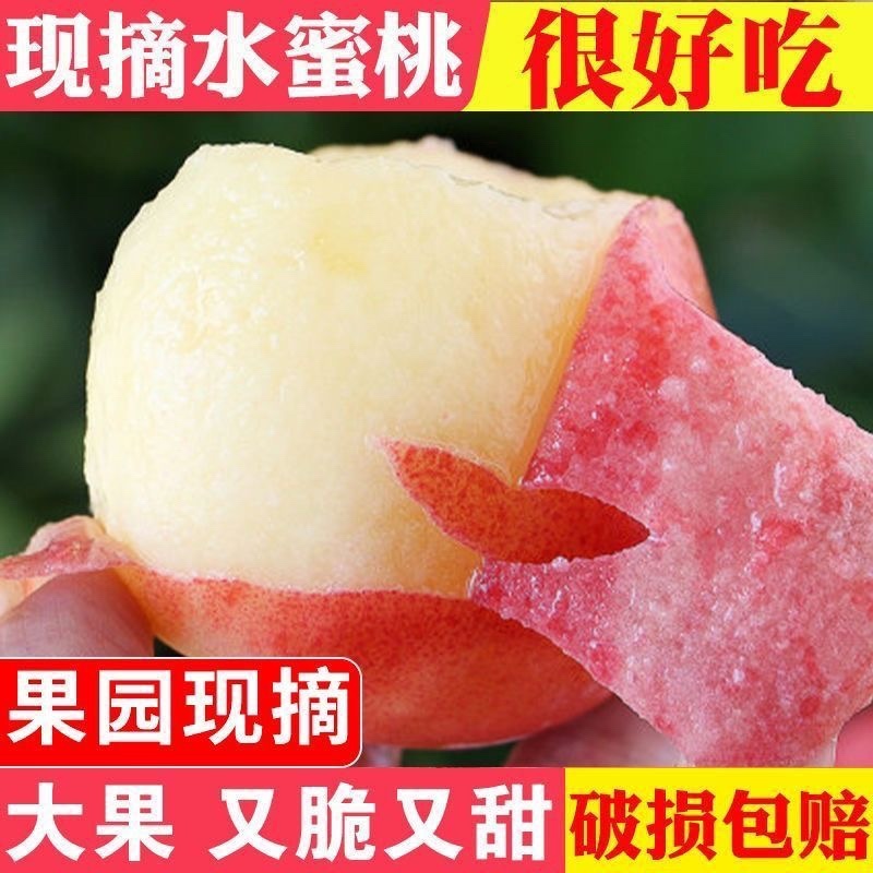 罐头桃，毛桃质量好，货源充足，诚信可靠量大从优