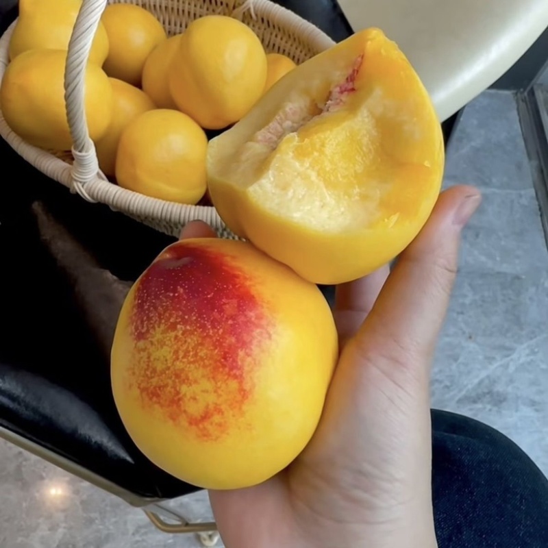 新鲜精品桃子黄桃一手货源产地直发量大从优