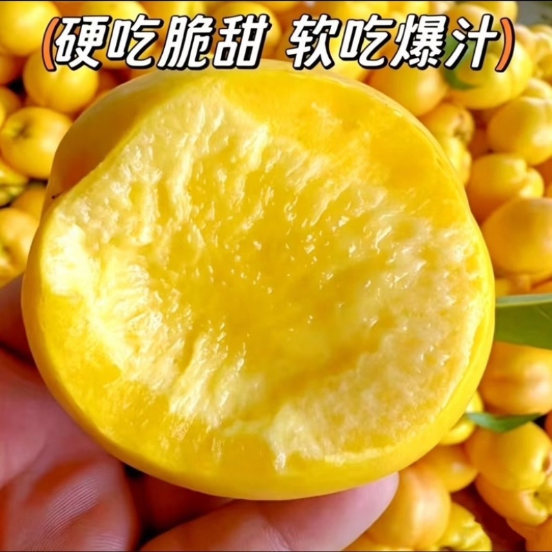 新鲜精品桃子黄桃一手货源产地直发量大从优
