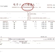 发票凭证打印纸农产品可坻9