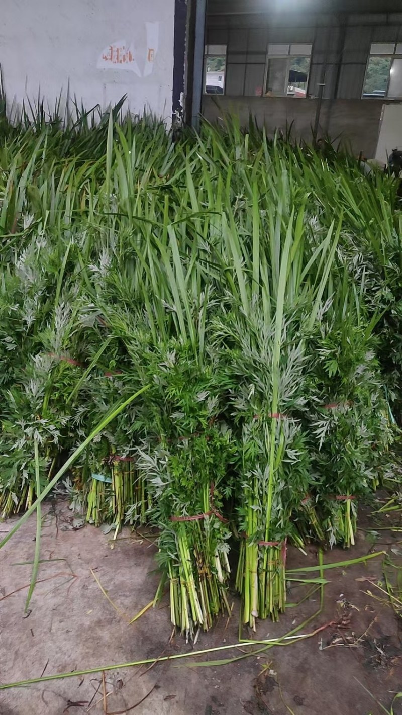 端午节用品.艾草水萺蒲.一套家宅兴**安康