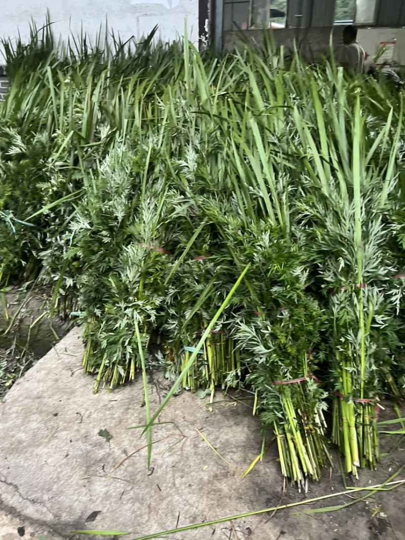 端午节用品.艾草水萺蒲.一套家宅兴**安康