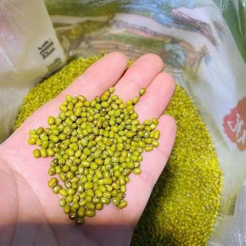 东北绿豆，一手货源，保质保量，全国发货，量大从优