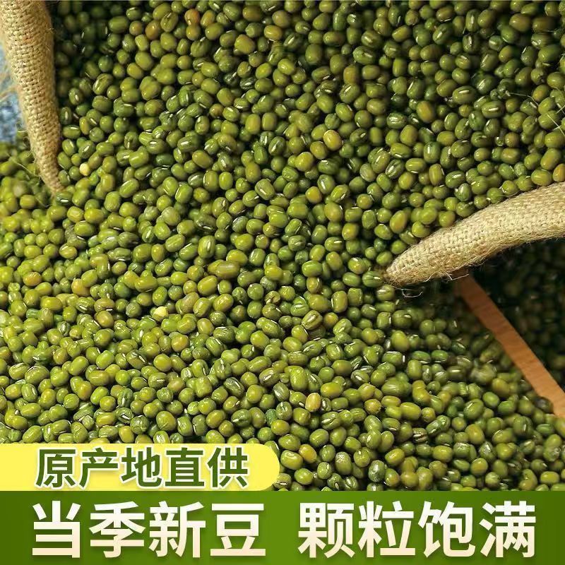 精品绿豆大量供应，可对接各大批发市场等，诚信经营