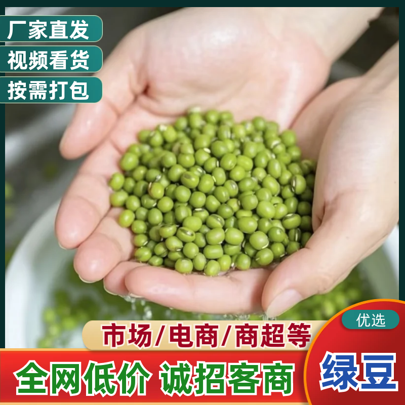 精品绿豆大量供应，可对接各大批发市场等，诚信经营