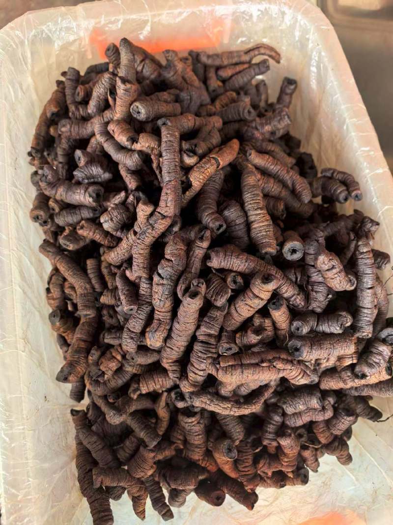 巴戟天，九蒸九晒，盐制巴戟，快递包邮