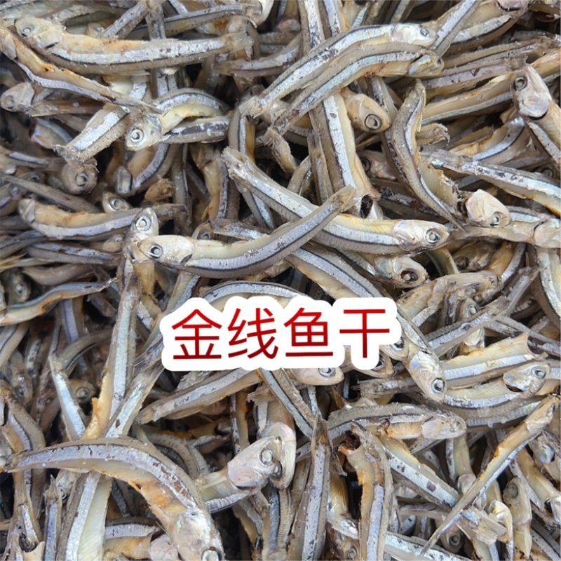 金线鱼干地摊电商批发海燕鱼干金线鱼干有头熟公鱼小鱼仔鱼干
