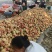陕西渭南毛桃现摘现发脆甜不软全国代办代收量大价优