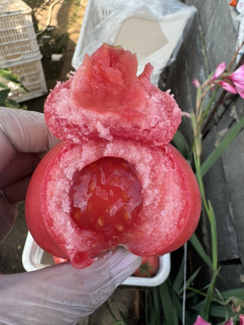 西红柿