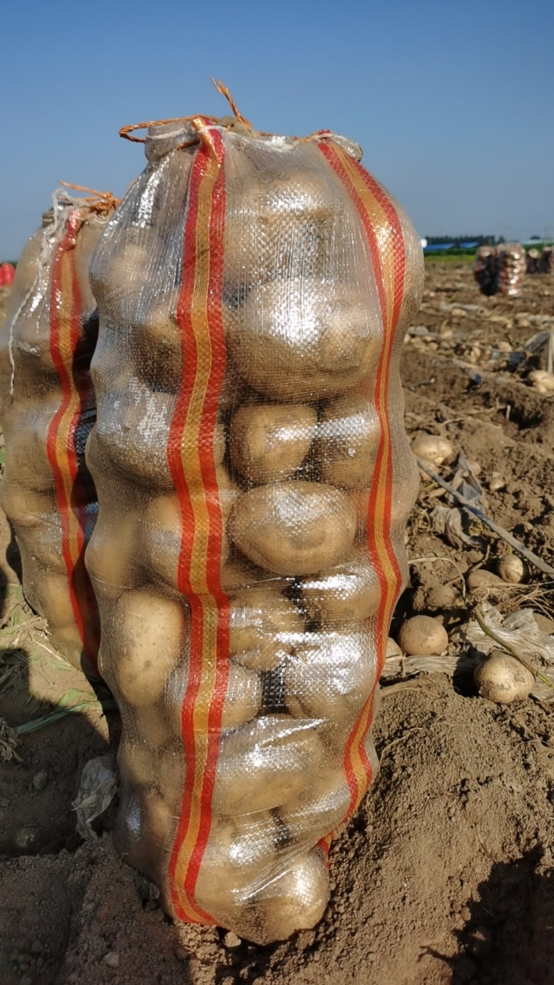 沃土土豆，实验1