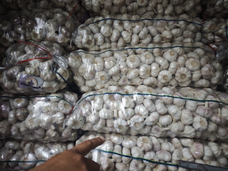 紫皮大蒜卖相好货量大承接加工电商商超社区团购直播带货